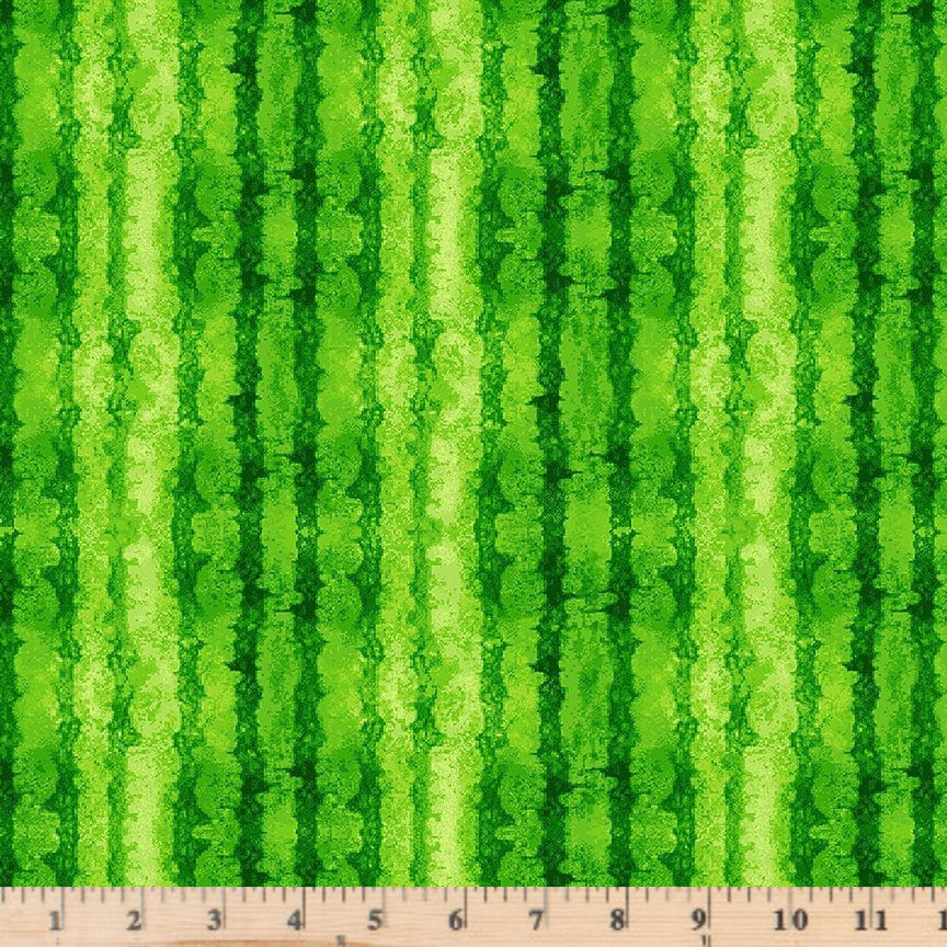 Green Watermelon Stripes Texture Watermelon Party FRUIT-CD1926 by Timeless Treasures.