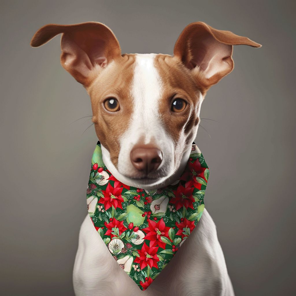 Dog wearing Peppermint Christmas bandana.